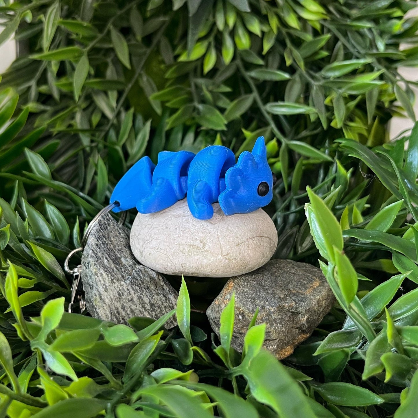 Axolotl