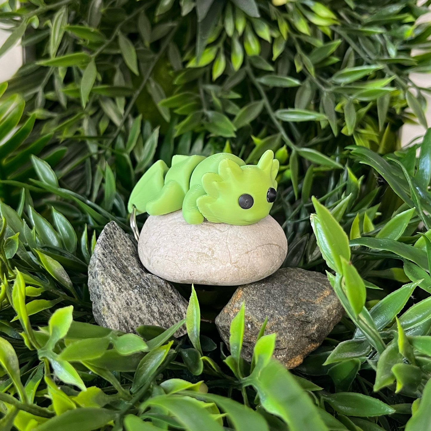 Axolotl