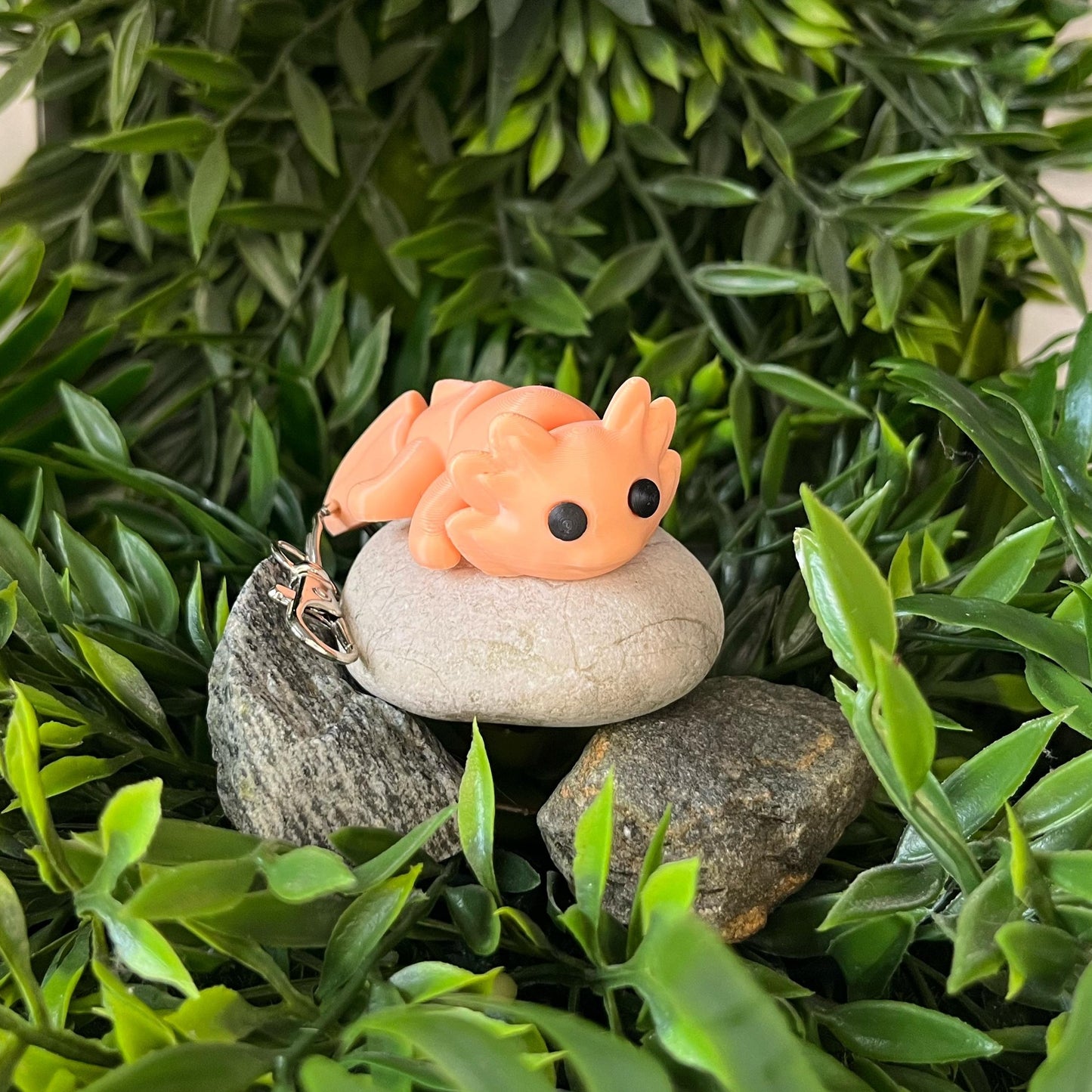 Axolotl