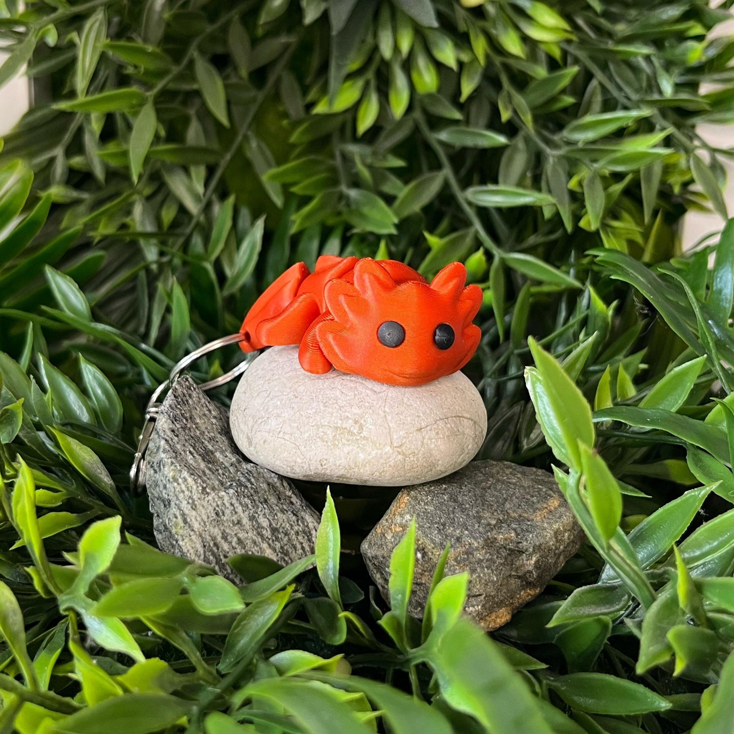 Axolotl