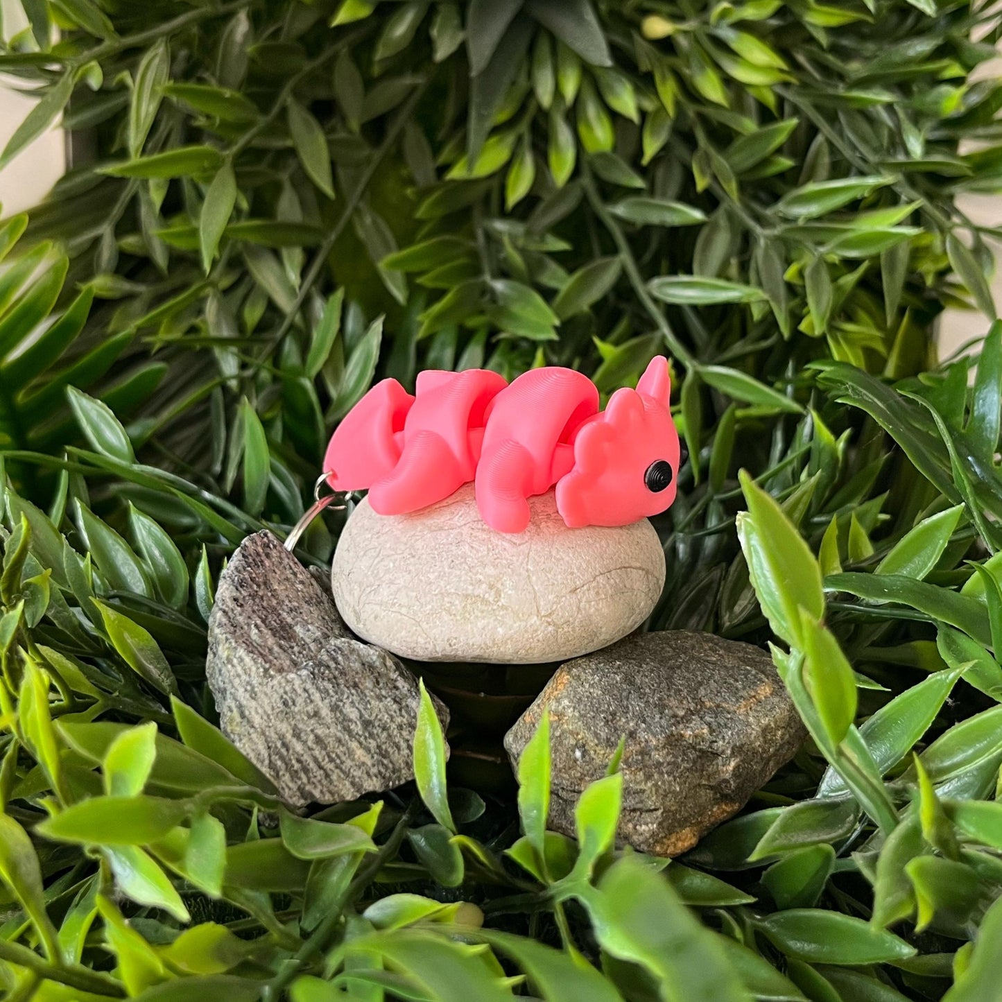 Axolotl