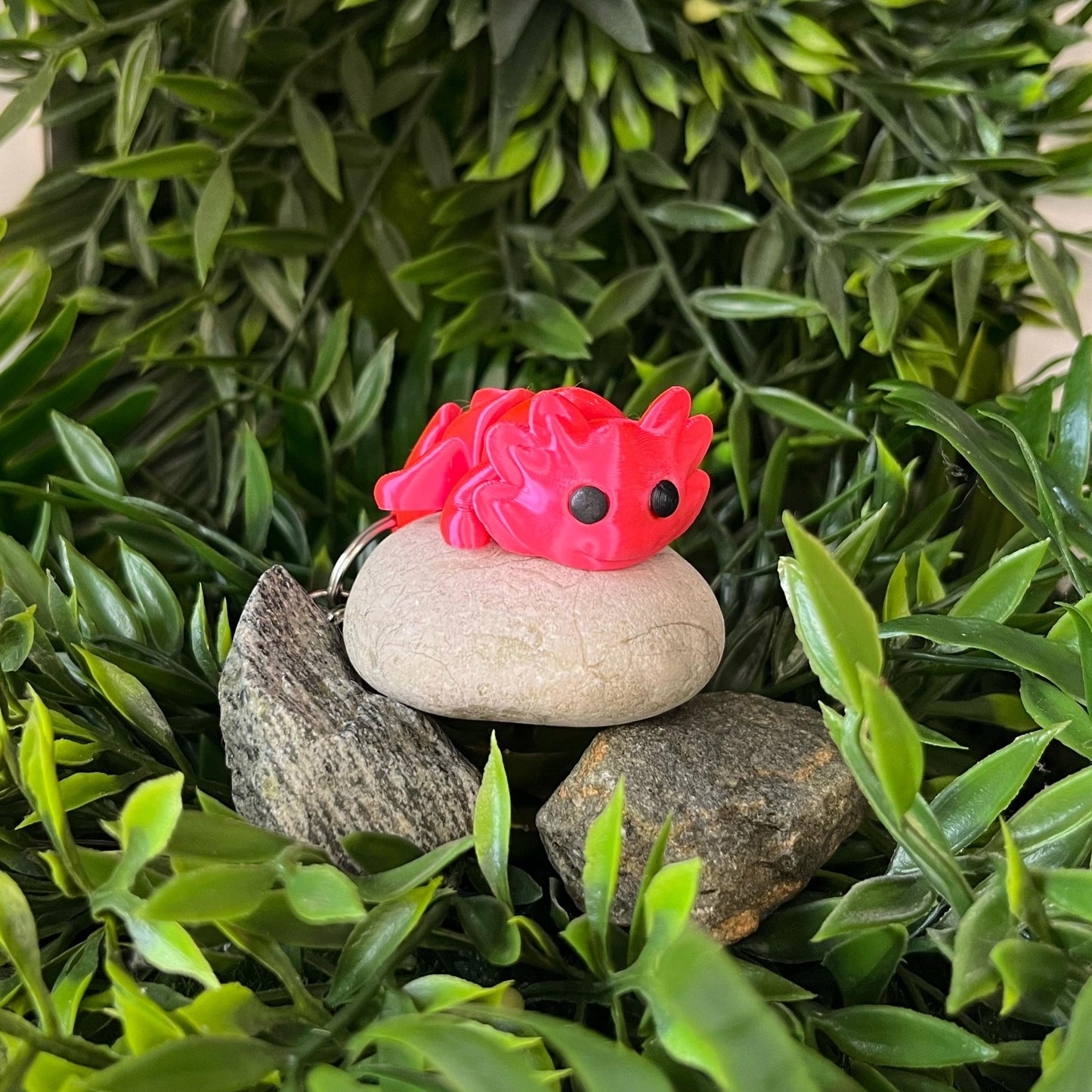 Axolotl