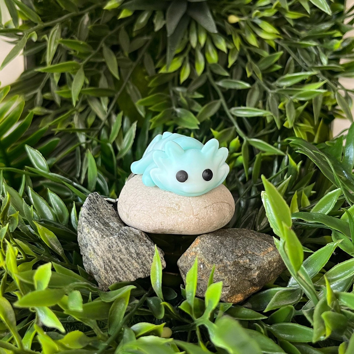 Axolotl