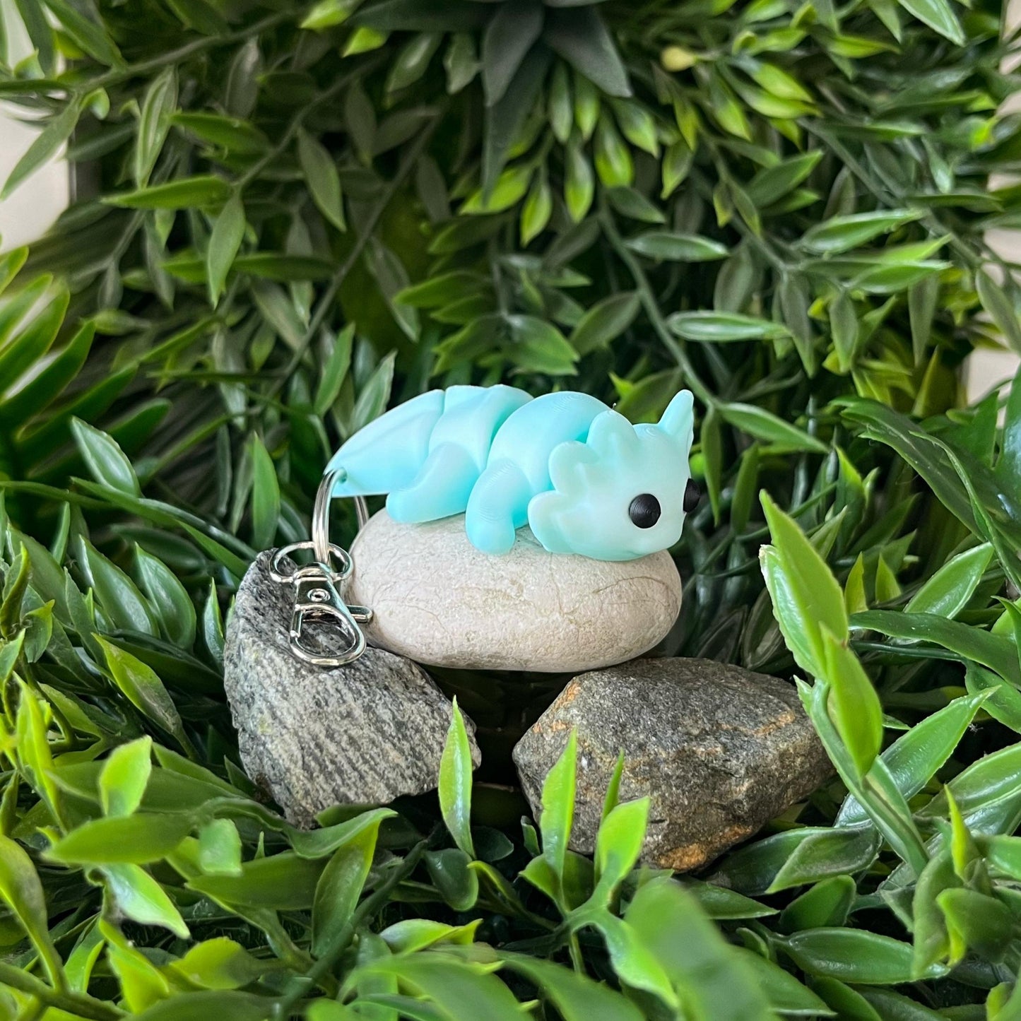 Axolotl