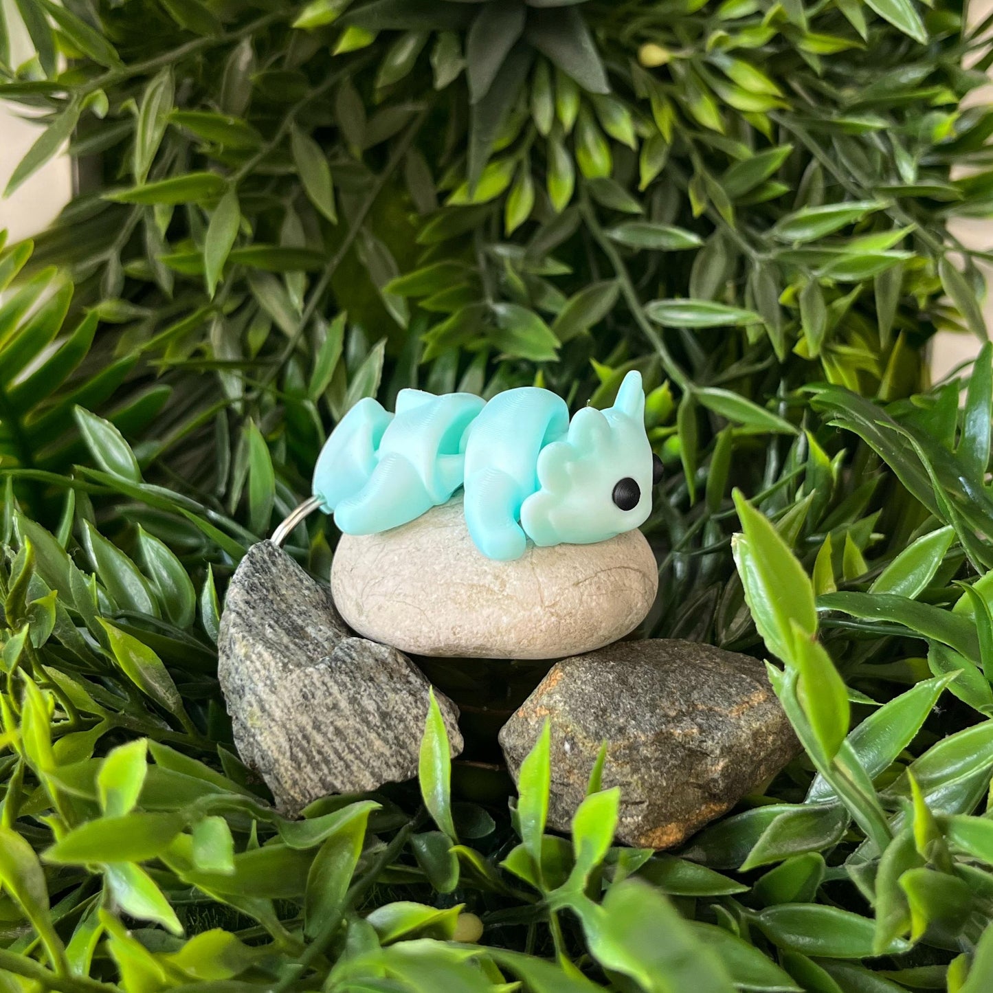 Axolotl