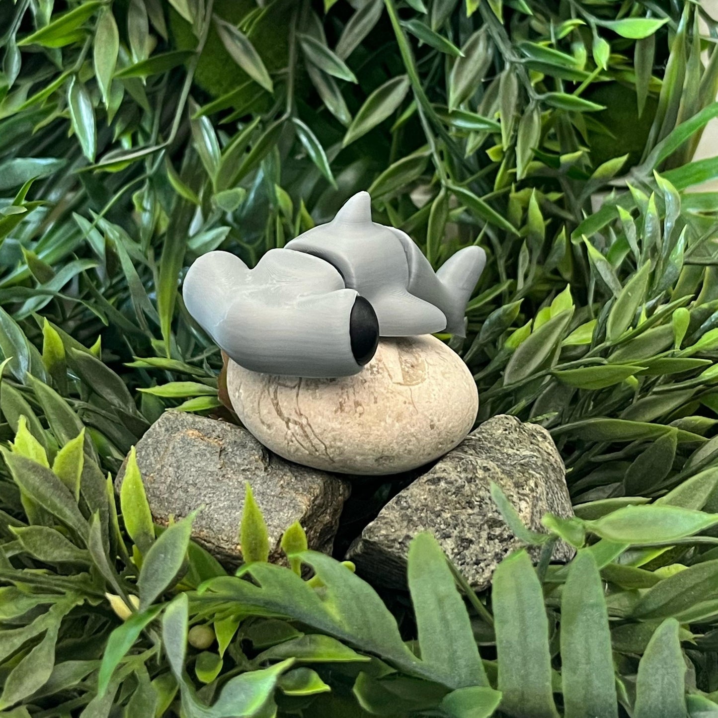 Hammerhai