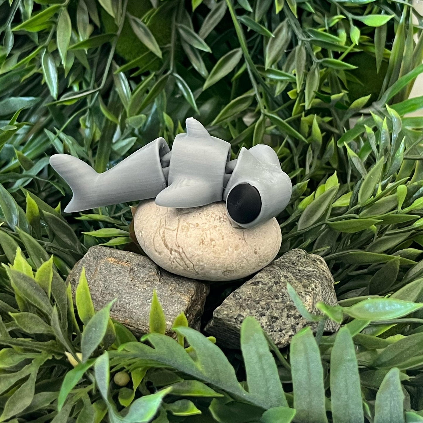 Hammerhai