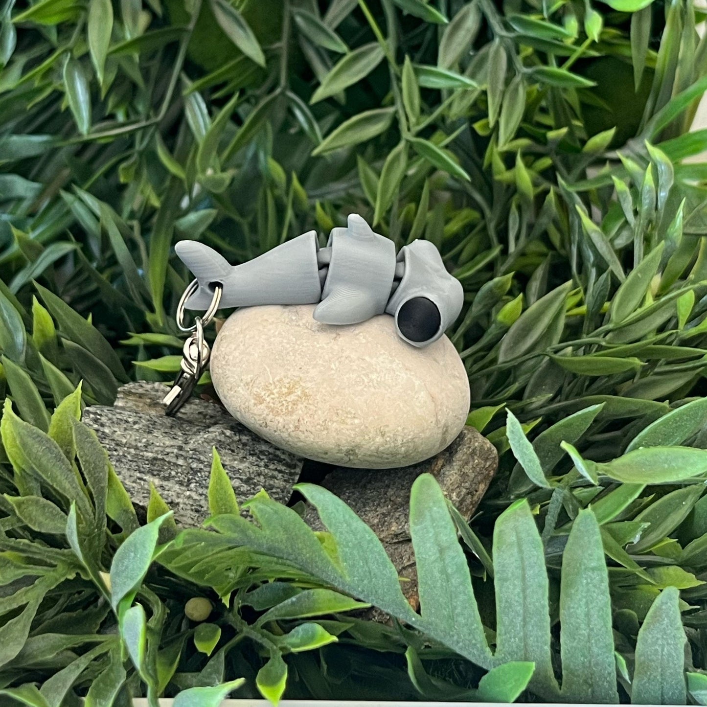 Hammerhai