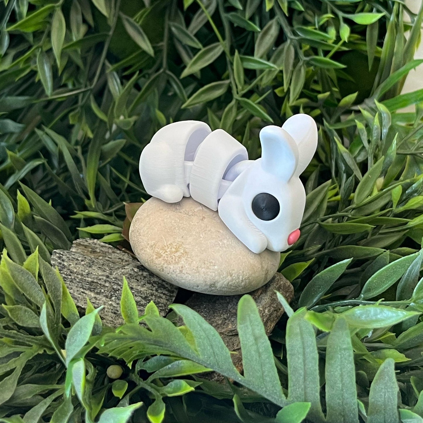 Hase