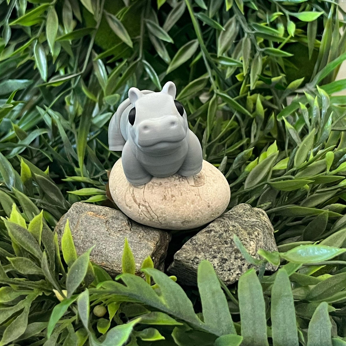 Hippo