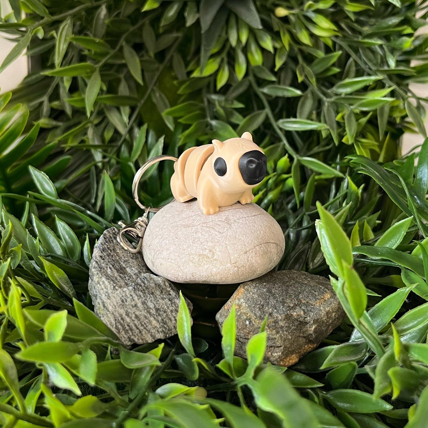 Capybara