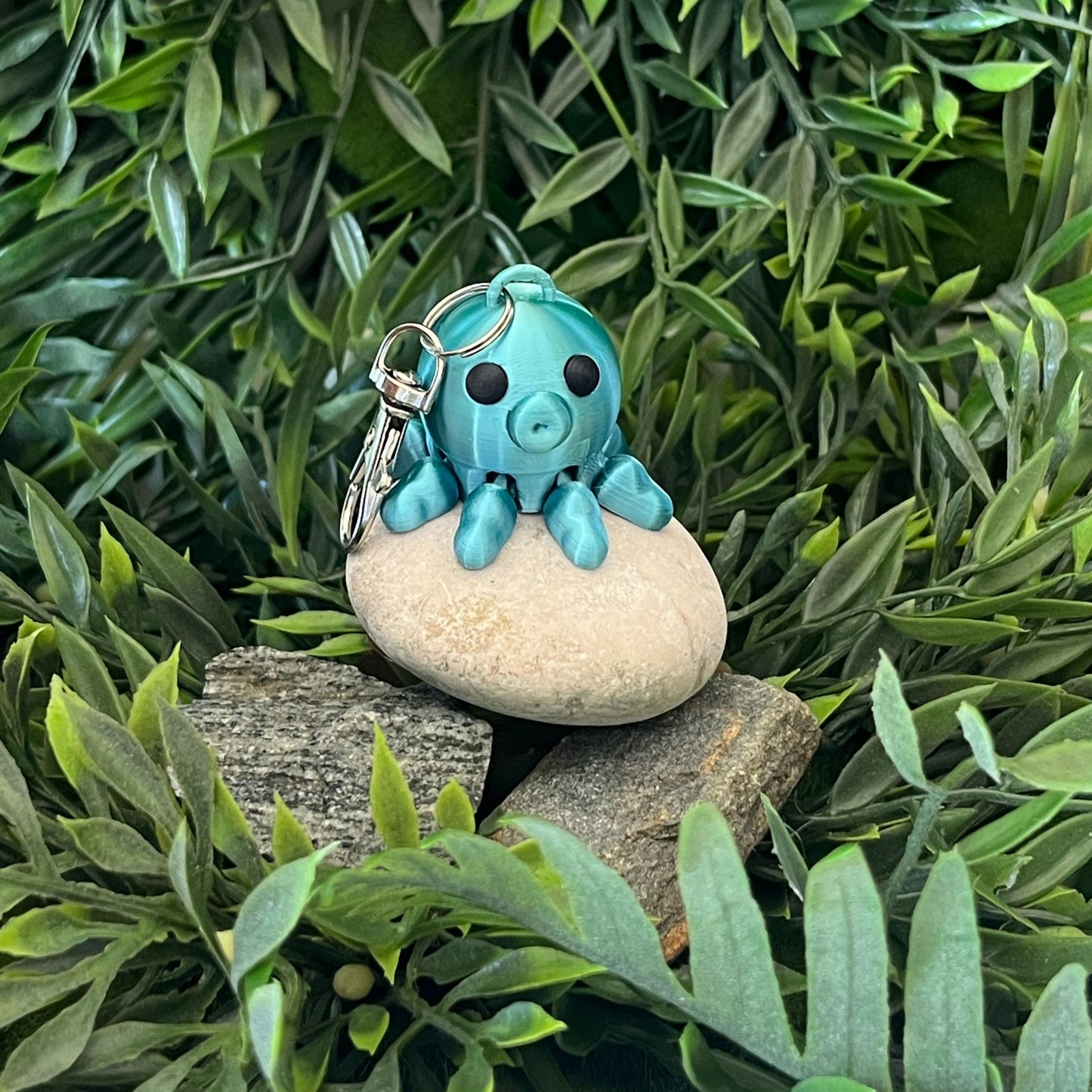 Octupus