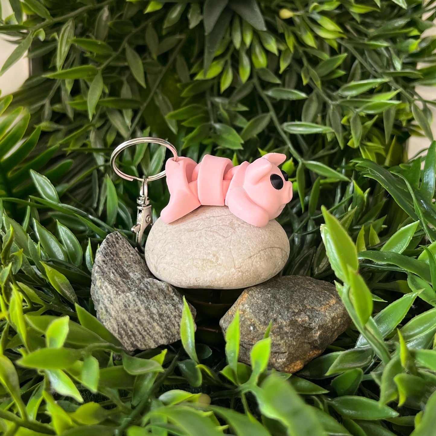 Schweinchen