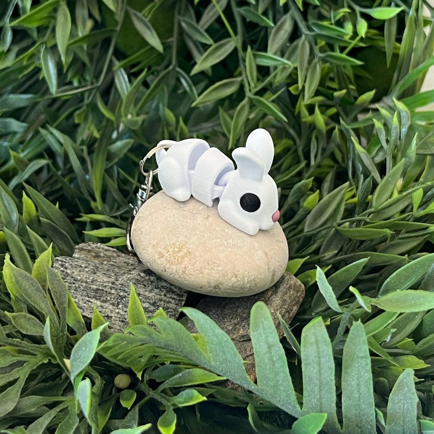 Hase
