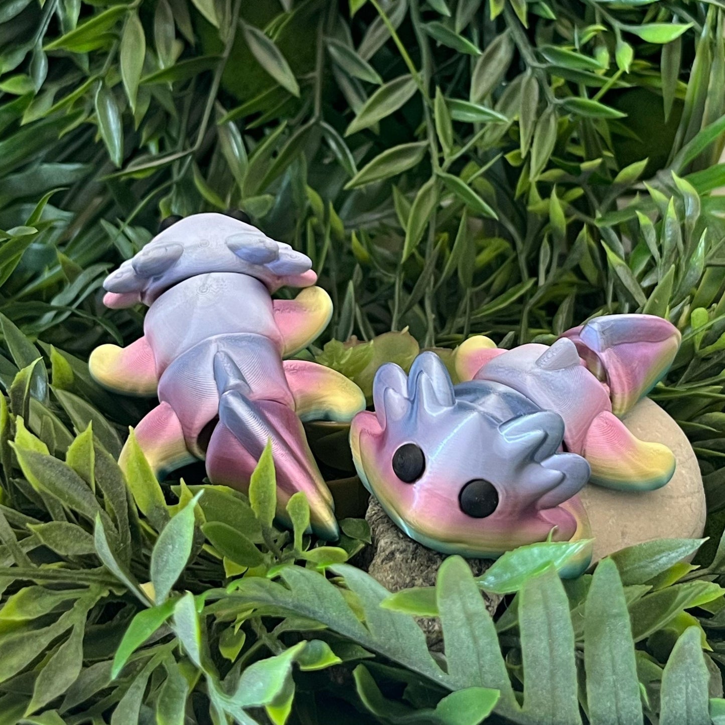 Axolotl