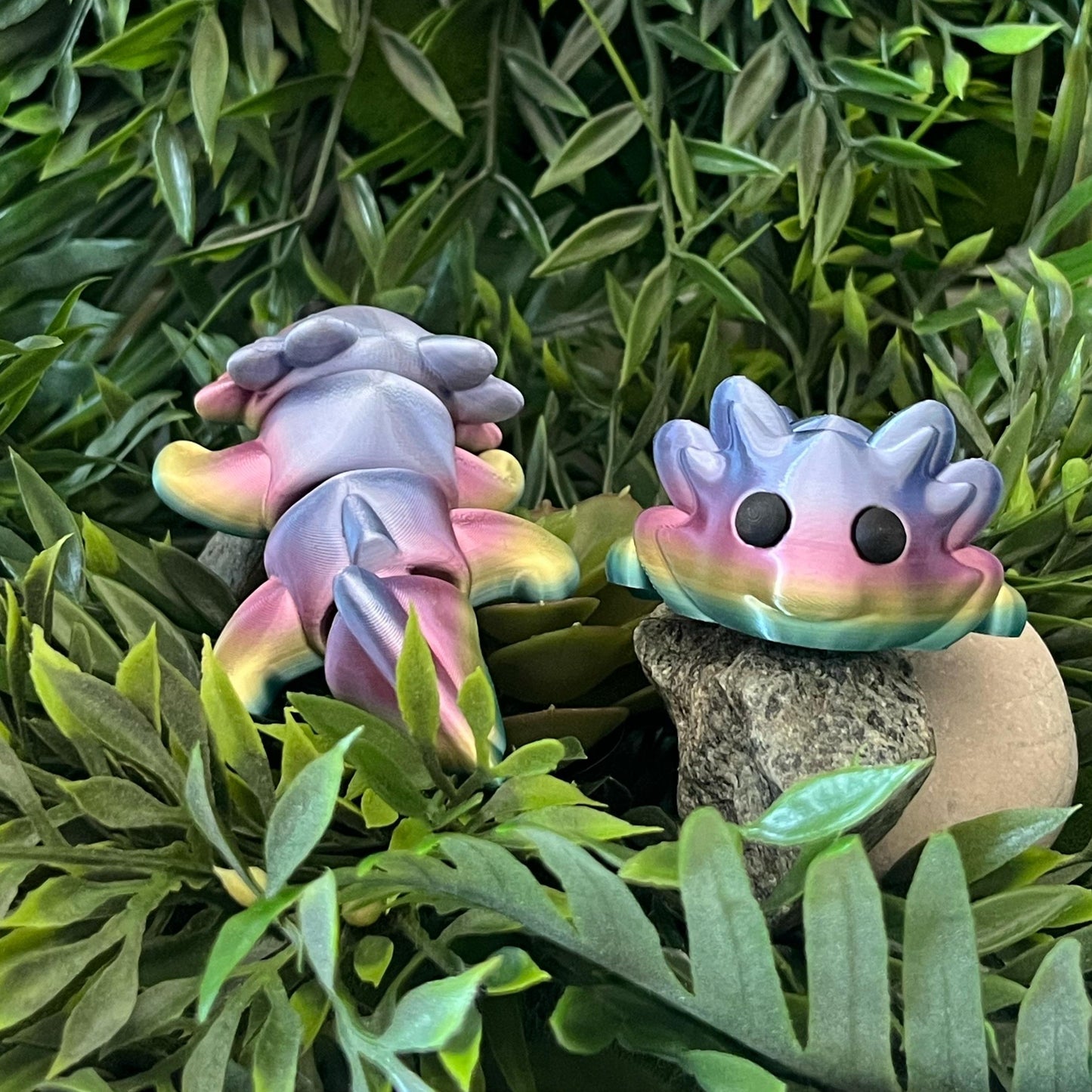 Axolotl