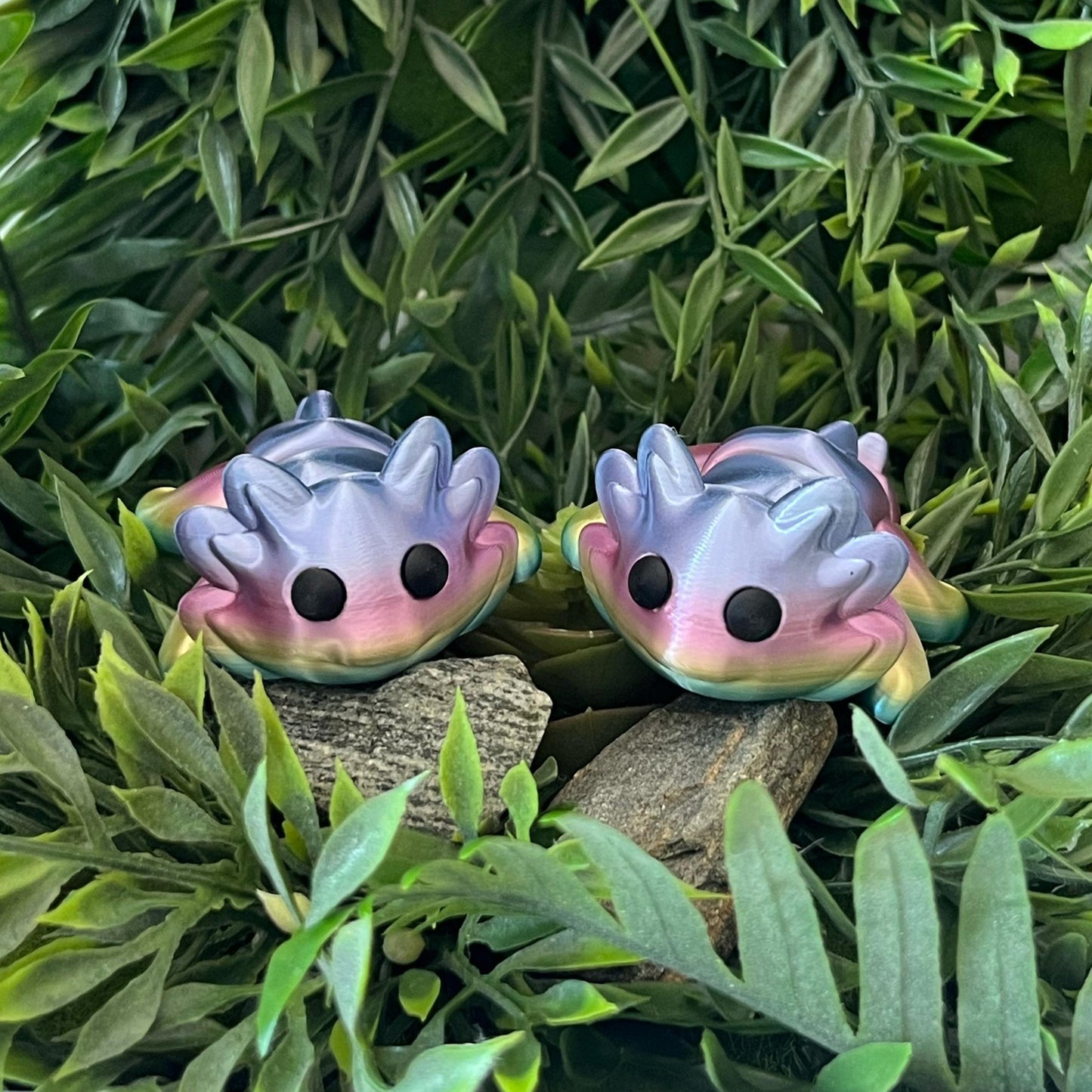 Axolotl