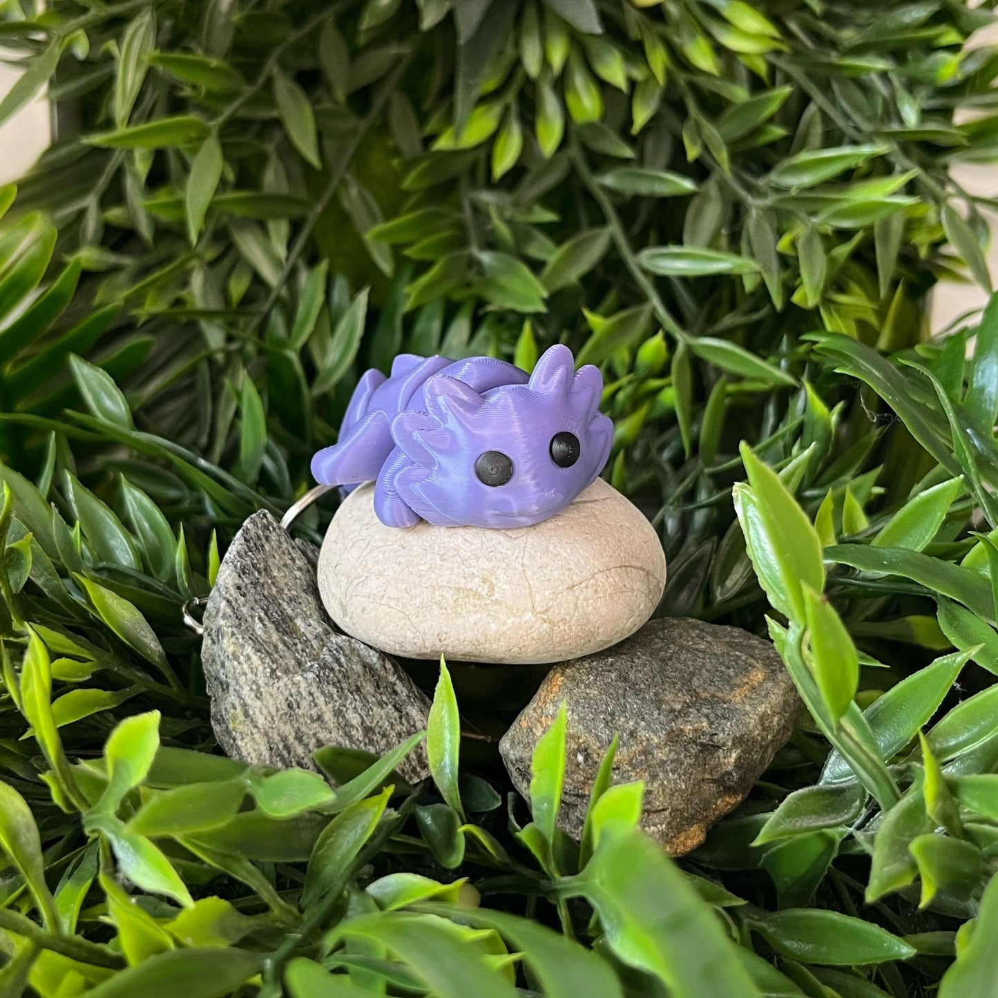 Axolotl
