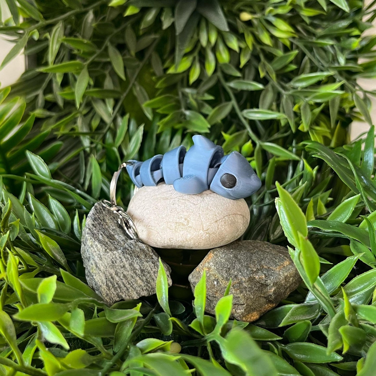 Hai