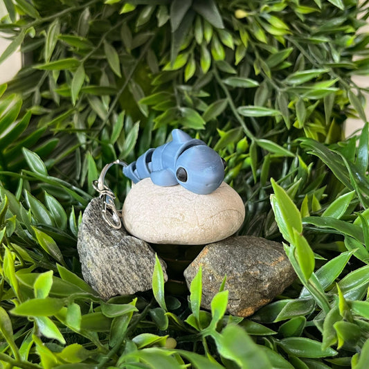 Hai