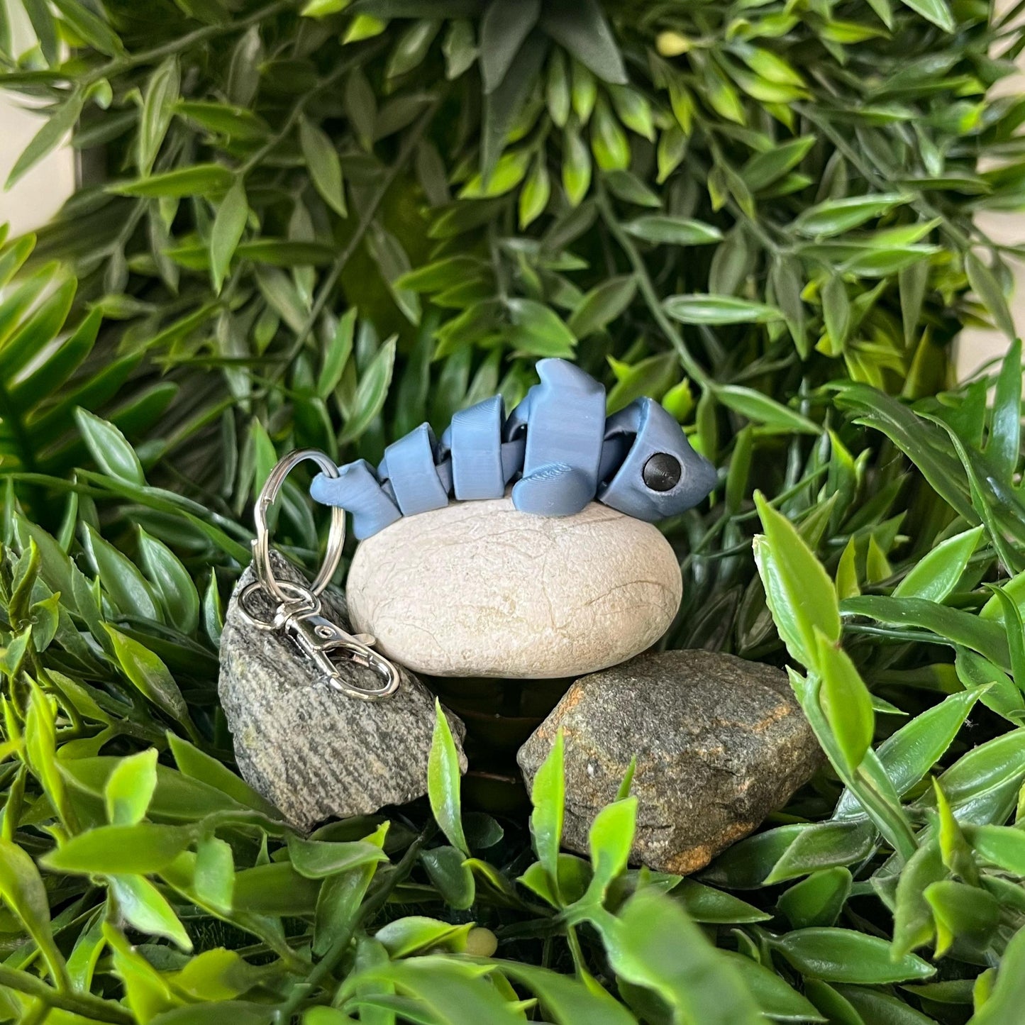 Hai