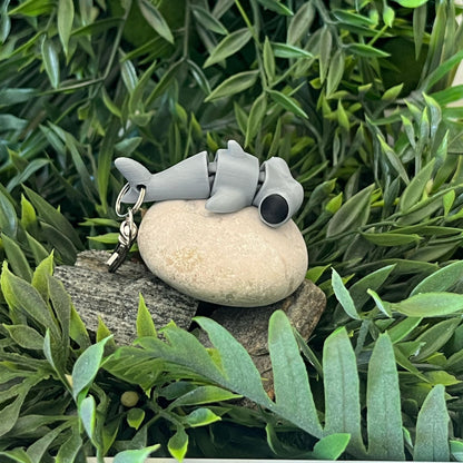 Hammerhai