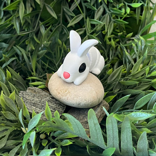 Hase