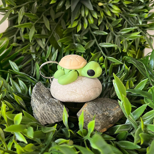Schildkröte