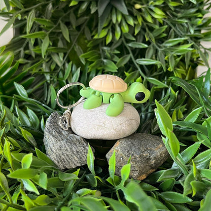 Schildkröte