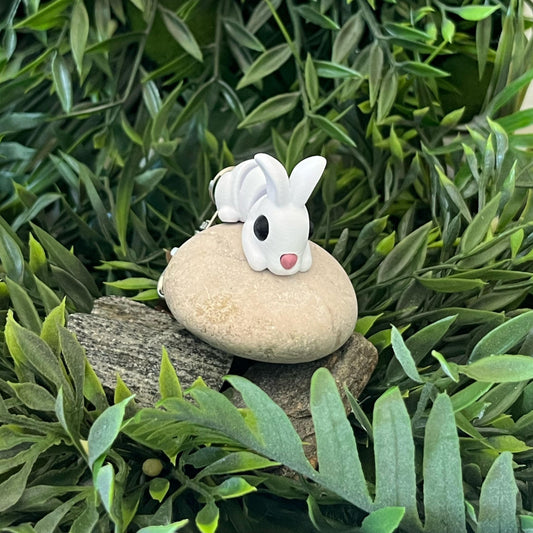 Hase